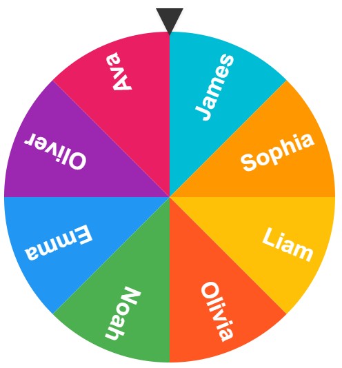 Baby wheel name picker